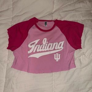 Cropped Pink IU Top
